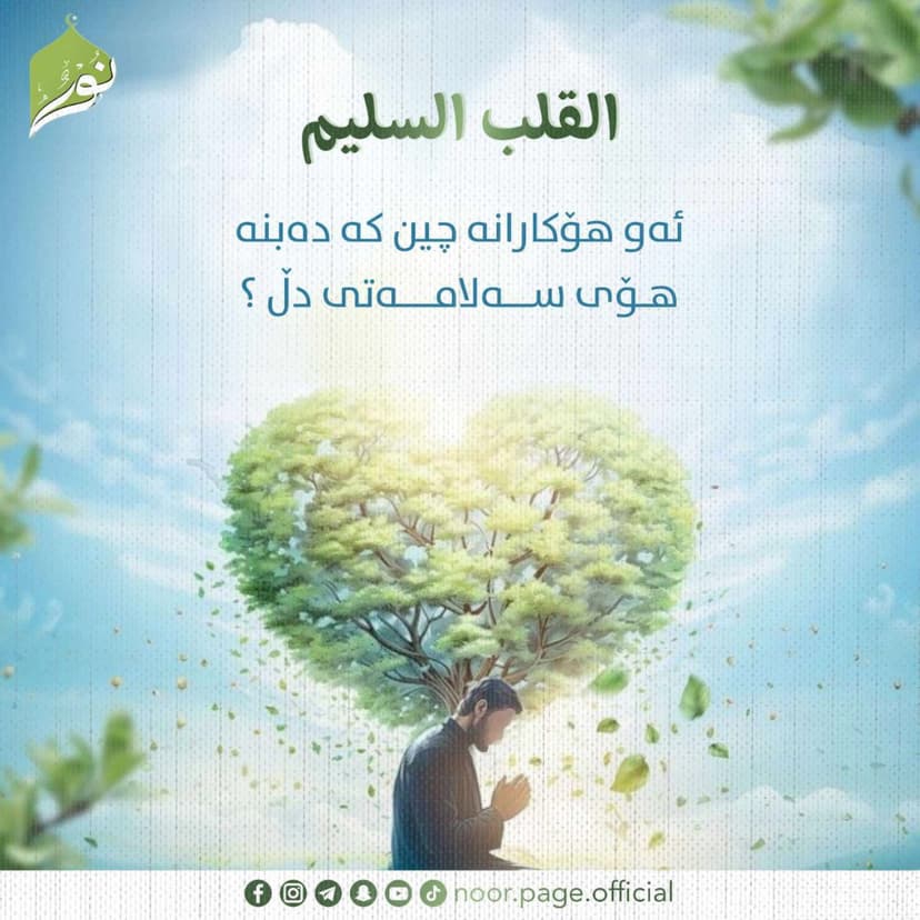 ئەو هۆكارانە چین کە دەبنە هۆی سەلامەتی دڵ؟
