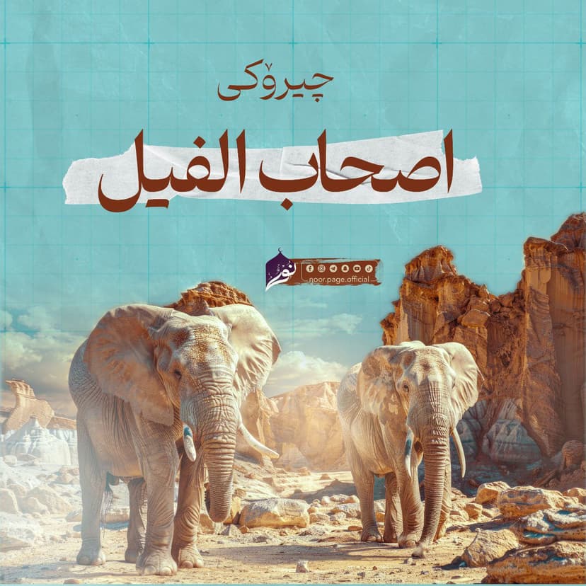 چیرۆکی اصحاب الفیل (هاوەڵانی فیل)
