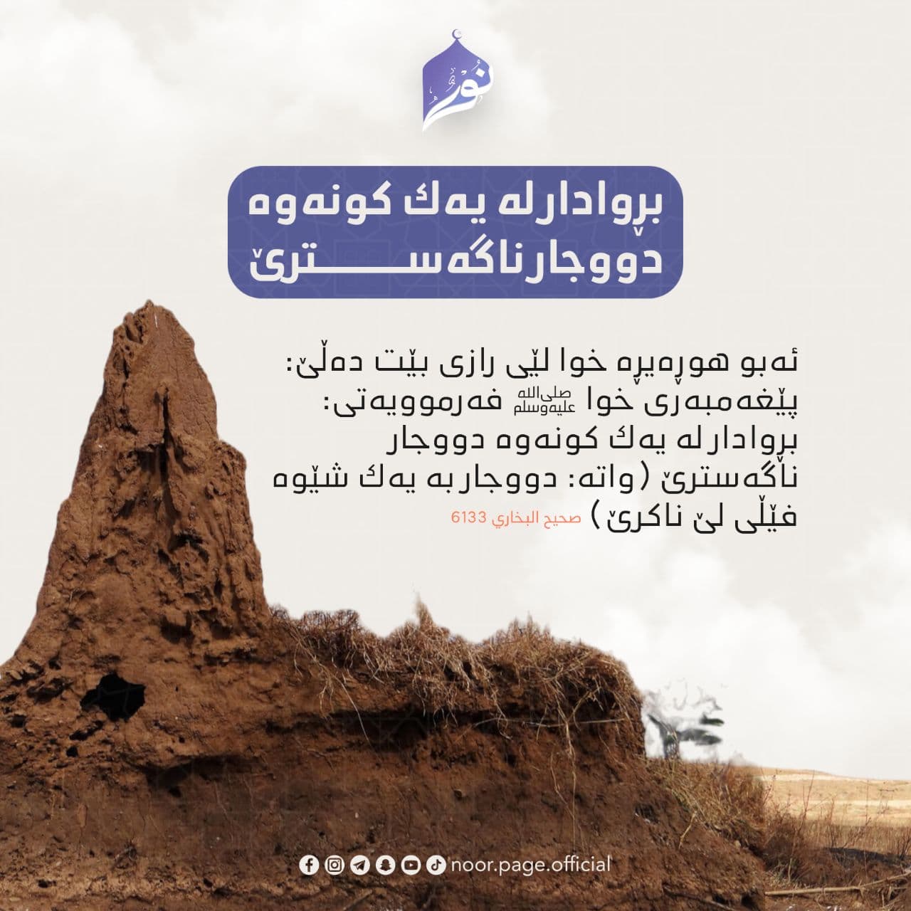 بڕوادار لە یەك كونەوە دووجار ناگەسترێ