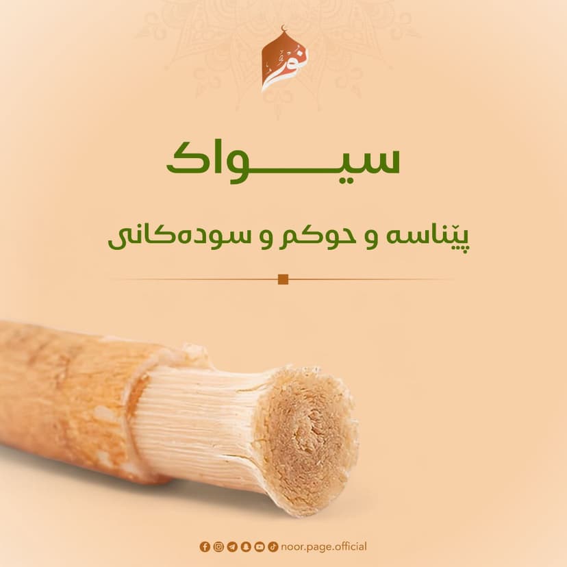 سیواک : پێناسە و حوکم و سودەکانى